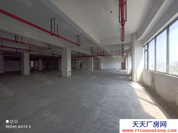 苏州市金阊新城1293平楼上全新厂房 可电商仓储展厅 客梯货梯均有