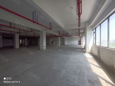苏州市金阊新城1293平楼上全新厂房 可电商仓储展厅 客梯货梯均有图4