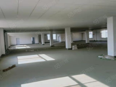 益阳市资阳区 无中介费奥士康公司斜对面标准厂房仓库业主直租行业不限图2