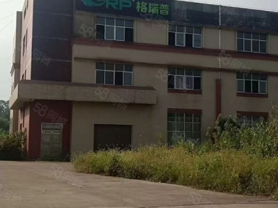 益阳市资阳区 无中介费奥士康公司斜对面标准厂房仓库业主直租行业不限图3