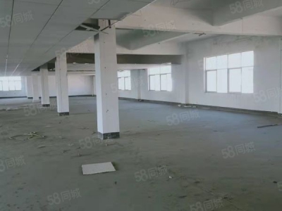 益阳市资阳区 无中介费奥士康公司斜对面标准厂房仓库业主直租行业不限图4