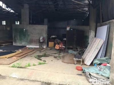 益阳市资阳区三一九国道旁厂房直租图3