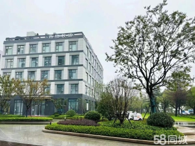 苏州市金阊区产业园区直招，苏州主城区3000-6000平独栋厂房图4