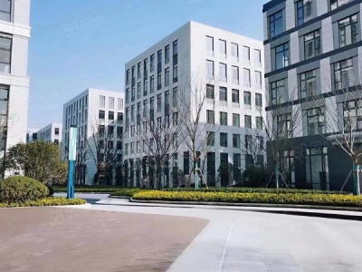 苏州市金阊区地铁旁工业用地厂房，办公研发生产均可，面积1000平起图4