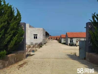 招远房子地理位置优越，水电方便，适合一大家人生活居住图1