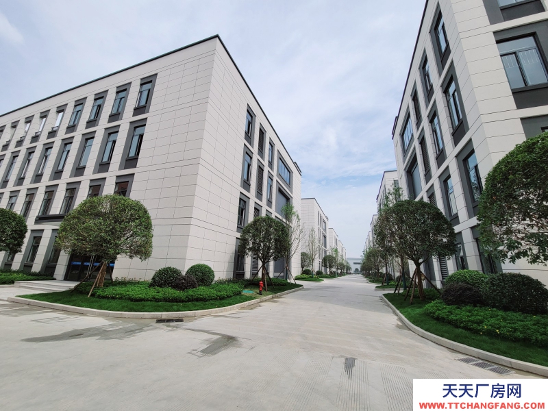 出租青白江全新独栋花园式厂房 现房随时可看