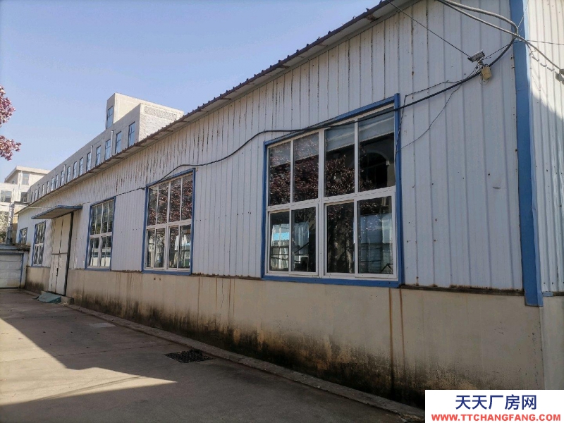 招远髙库5米多有两个大门，水泥地面