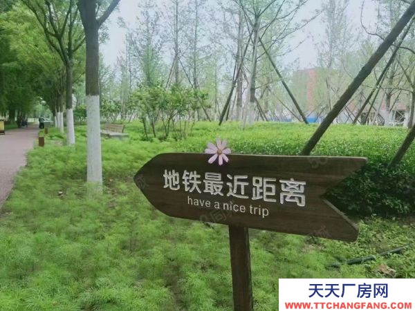 苏州市金阊区姑苏地铁口 1000平单层厂房，得房率高，研发办公生产排布优