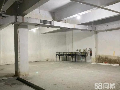 苏州市金阊区石路商业街地下室。面积大约260平图1