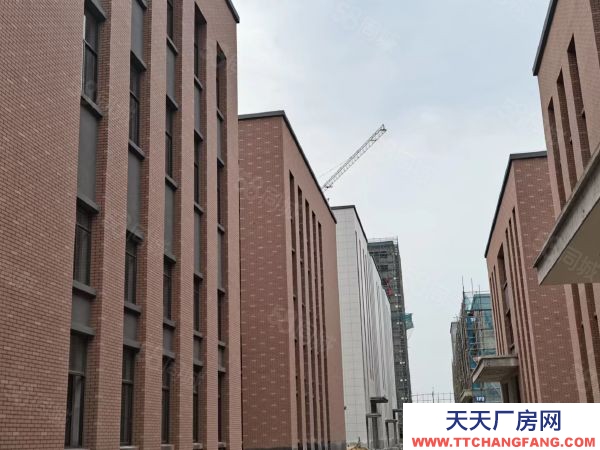 苏州市平江区 三层独栋即买即用首付三成