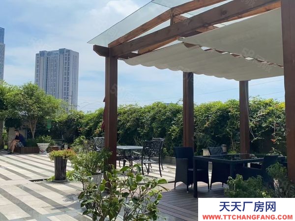 苏州平江区全新高标准厂房均价480二成政企合作无中介费