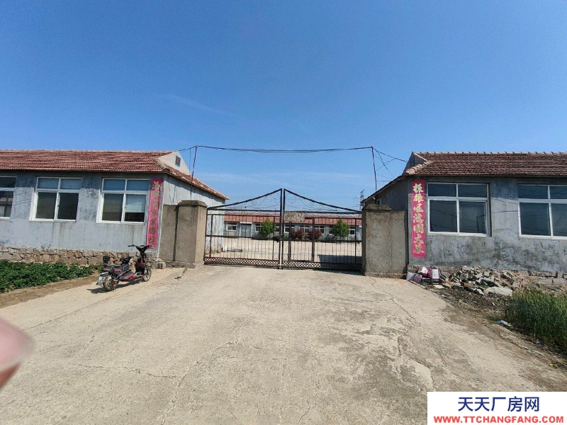 海阳市七十间房通透明亮，可办公办厂，院子宽敞，停车方便，交通便利