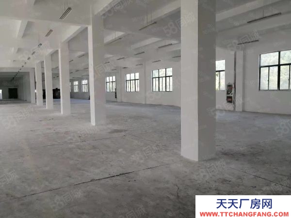 苏州市平江区出租丨黄埭13000平方可分租税收要求低一千起分厂房形象好