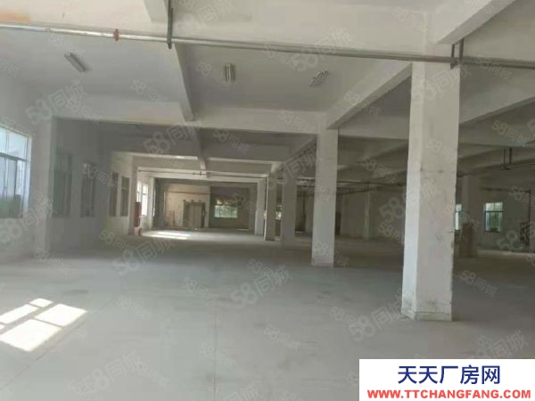 苏州市平江区出租丨黄埭13000平方可分租税收要求低一千起分厂房形象好
