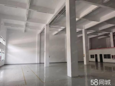 苏州市沧浪区独门独院市区唯一，可做快递物流图1