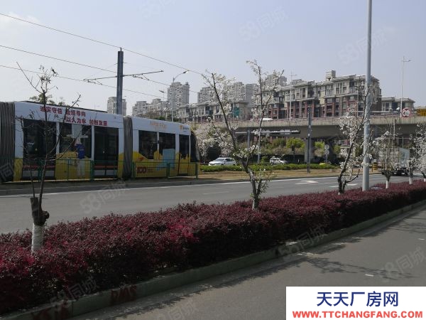 苏州市沧浪区国土双证！1000~6000平米！花园式厂房！