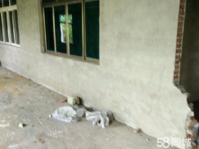 益阳市南县区瑞丰商贸城附近 仓库 800平米图2