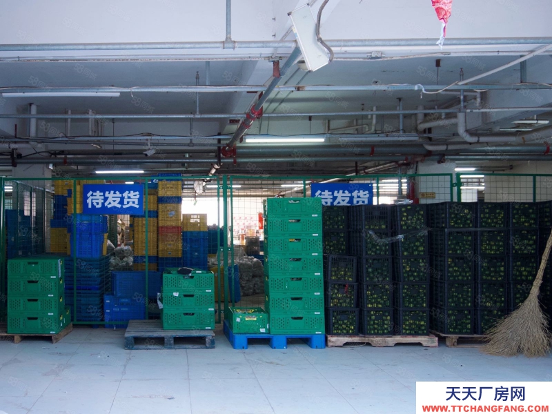 (出租) 天津津南商业便民小平米仓库，可存闲置可做电商