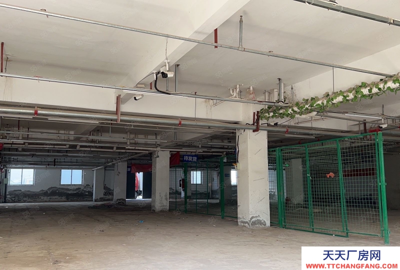 (出租) 天津津南商业便民小平米仓库，可存闲置可做电商