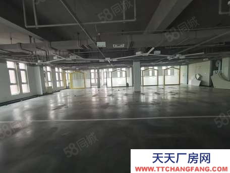 (出租) 天津津南双港561平米电商办公出租
