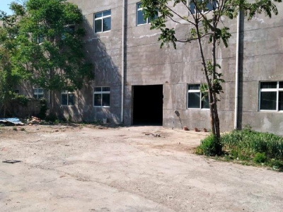 (出租)  天津河东距二号桥轻轨站300米，龙峰路上，位置好图4