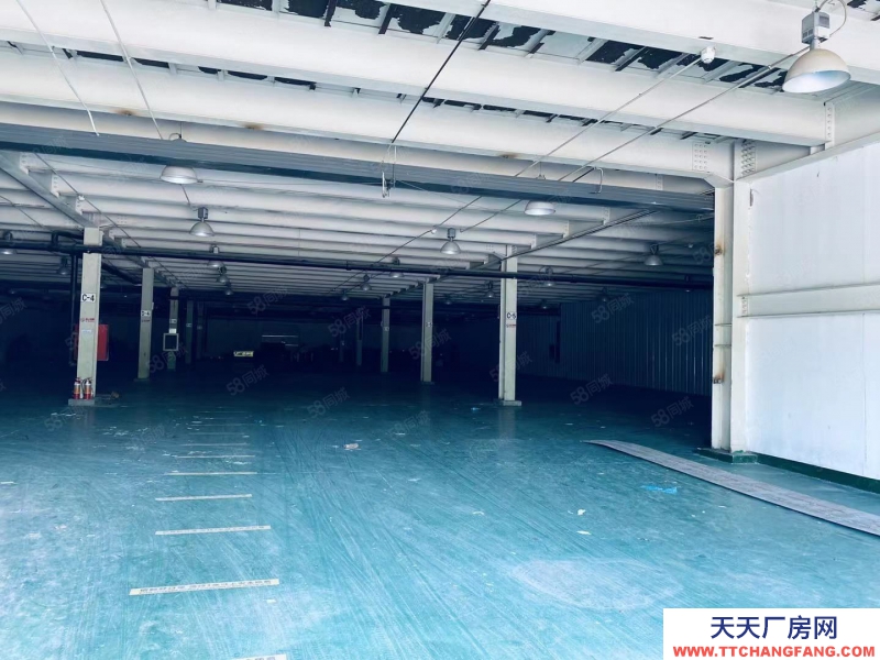 (出租) 天津东丽2100平单层 0.5元 丙二类消防 有环评