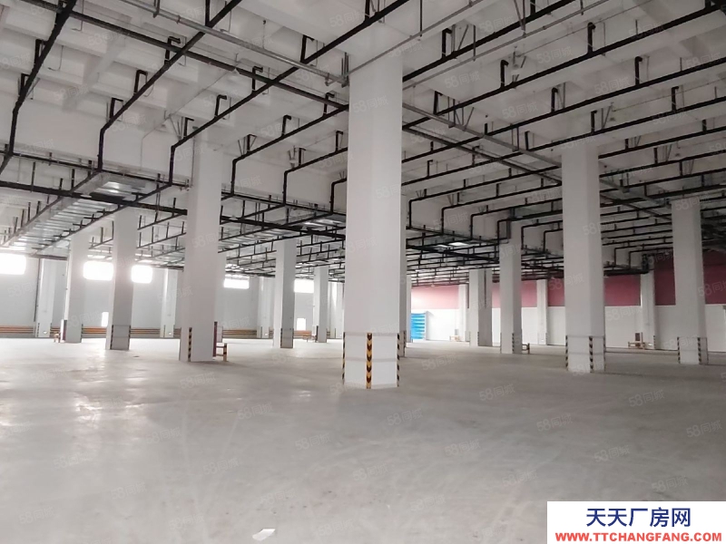 (出租) 天津东丽可临租，分租，机场货运区9万平丙二高标仓出租