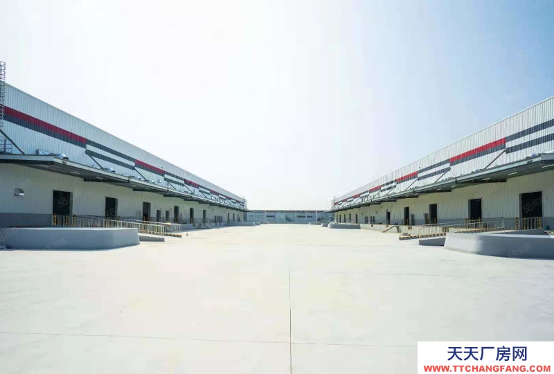 (出租) 天津东丽空港顺丰高标库5万方可租（新交付，配套齐全，可注册）