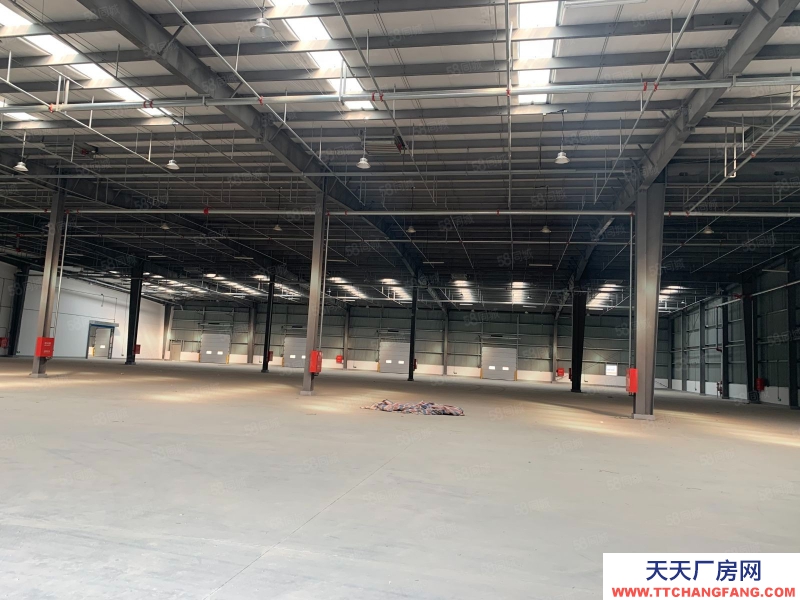 (出租) 天津宝坻丙二高标库丨高台雨棚丨烟感喷淋丨灵活分租