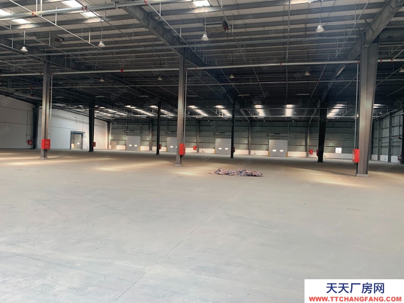 (出租) 天津宝坻丙二高标库丨高台雨棚丨烟感喷淋丨灵活分租