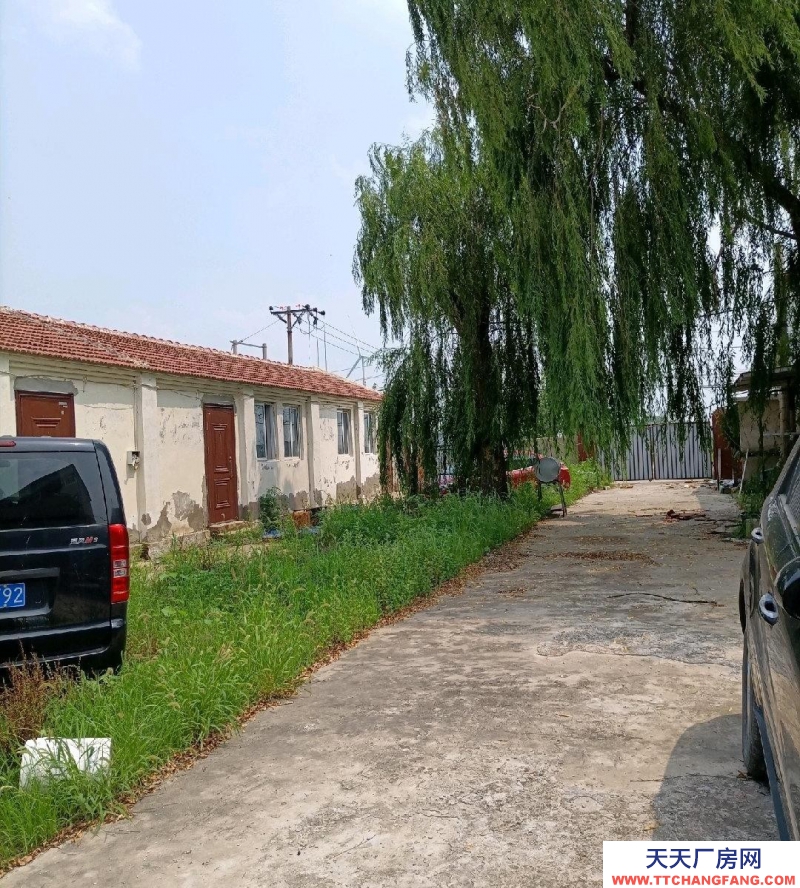 (出租) 天津宁河有房子13间，房子前后有院子，可以扩建，