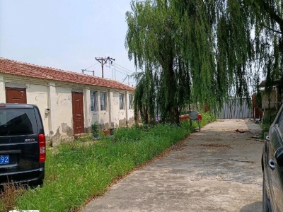 (出租) 天津宁河有房子13间，房子前后有院子，可以扩建，图1