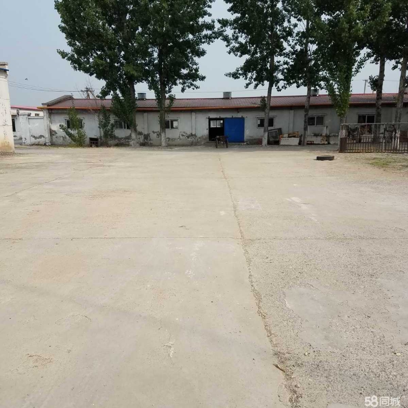 (出租) 天津宁河仓库 厂房 养殖场 养殖用地 （建设用地 可建房）可分租图1