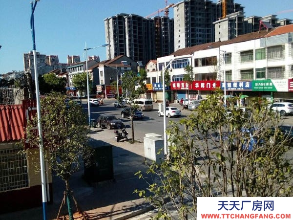 常德市澧县 出租澧县新区玉皇路500㎡独栋物业
