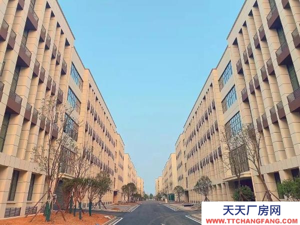 常德市澧县 交通便利 配套完善 有免租等优惠条件