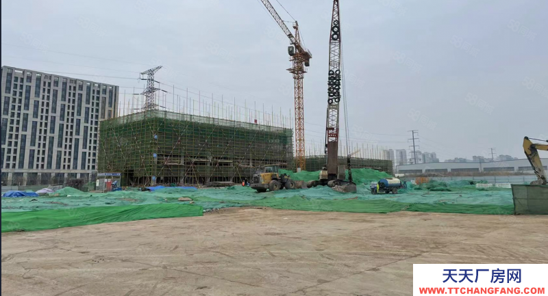 潍城出售600到6000平实用厂房，可环评，50年产权