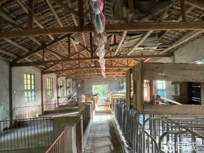 常德市澧县闲置猪厂一栋设施齐全，可带住房出租（售）。图3