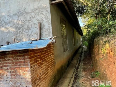 常德市澧县闲置猪厂一栋设施齐全，可带住房出租（售）。图1