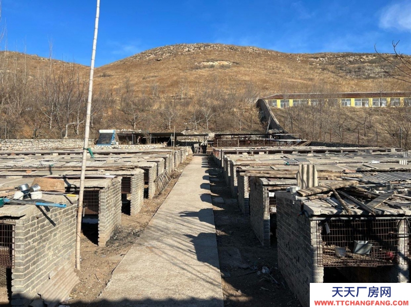 唐山 古治 农业养殖基地仓储住宅配套设施齐全水电交通齐全