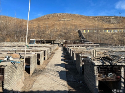 唐山 古治 农业养殖基地仓储住宅配套设施齐全水电交通齐全图3
