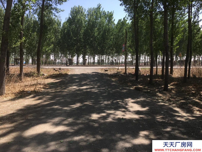 唐山 古治 玩辇庄乡北外环路厂房
