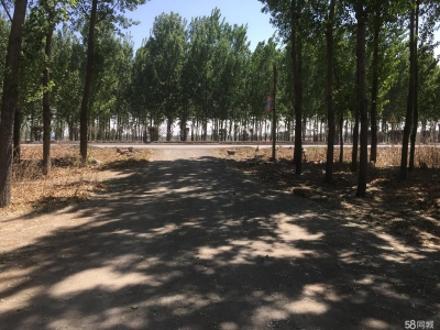 唐山 古治 玩辇庄乡北外环路厂房图1