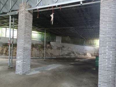 常德市鼎城区灌溪独院纯1000平厂房，带300平院子图1