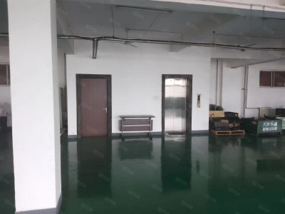 (出租) 天津塘沽开发区西区厂房出租图1