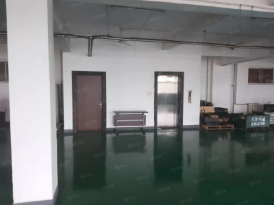 (出租) 天津塘沽开发区西区厂房出租图3