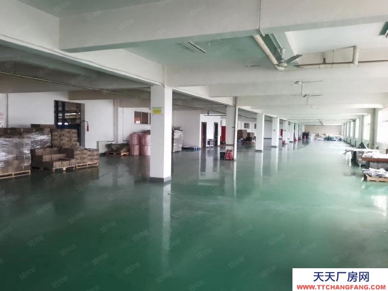 (出租) 天津塘沽开发区西区厂房出租