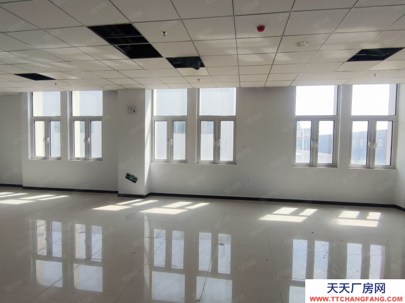 (出租) 天津津南专业化厂房，单层面积1000平园区免费停车 享海教园专项补贴