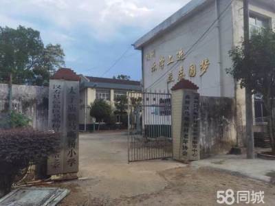 常德市汉寿县太子庙工业园马嘶桥社区319国道边50米处，马嘶桥小学图1