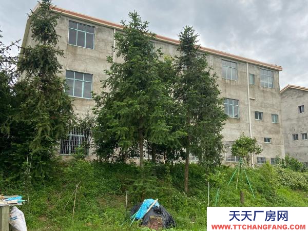 常德市桃源区厂房出租 陬市镇大华工业园厂房仓库办公楼（离常德市区十公里）