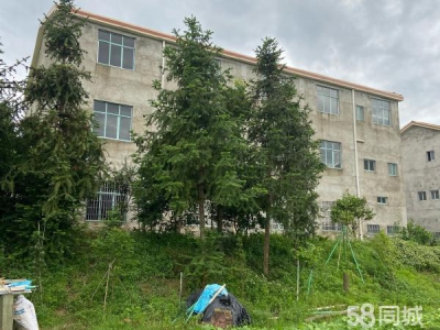 常德市桃源区厂房出租 陬市镇大华工业园厂房仓库办公楼（离常德市区十公里）图3